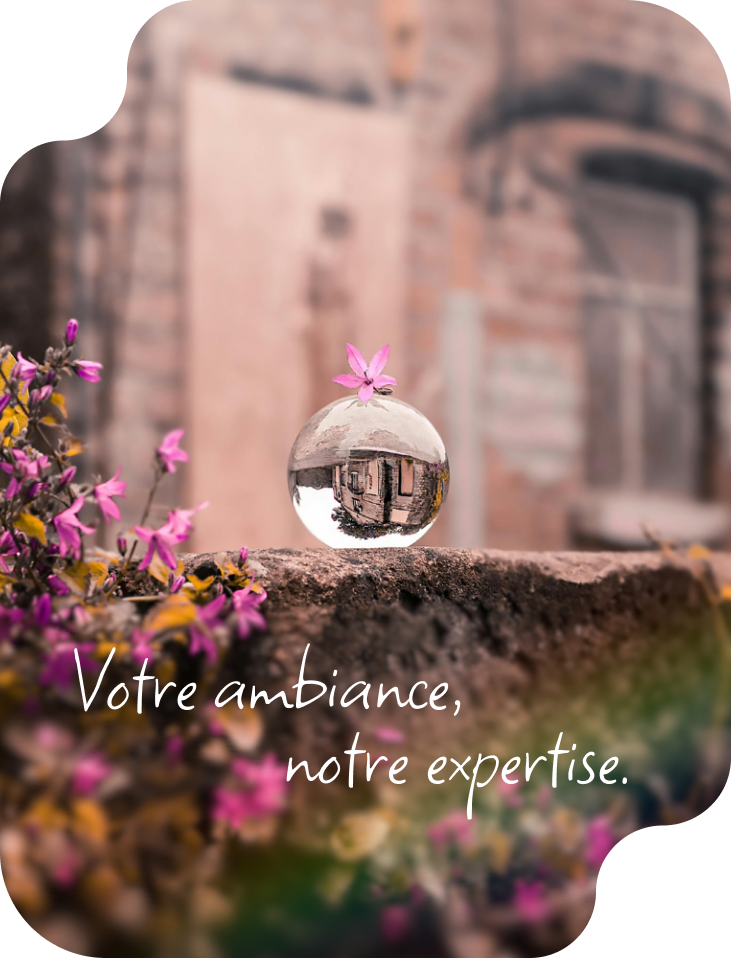Image mot de passe oublié