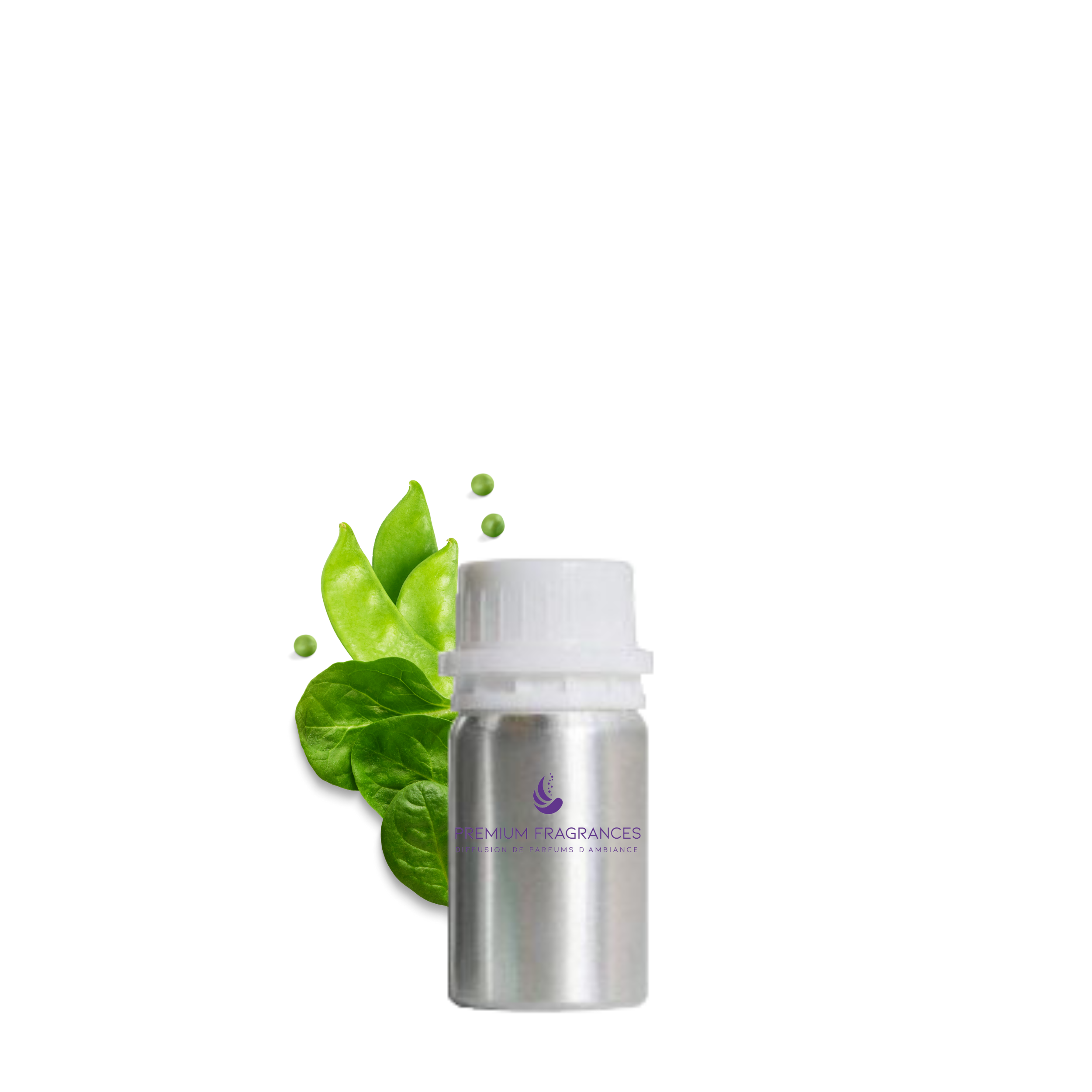 Pois gourmand & épinard