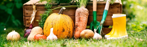 PARFUMS DU POTAGER