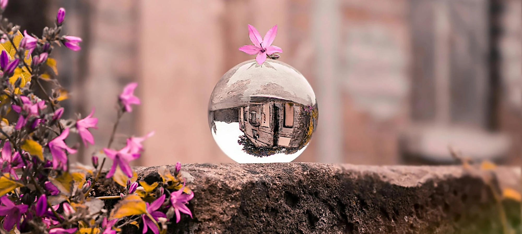 Parfum d’Ambiance : les erreurs à éviter dans des espaces recevant du public