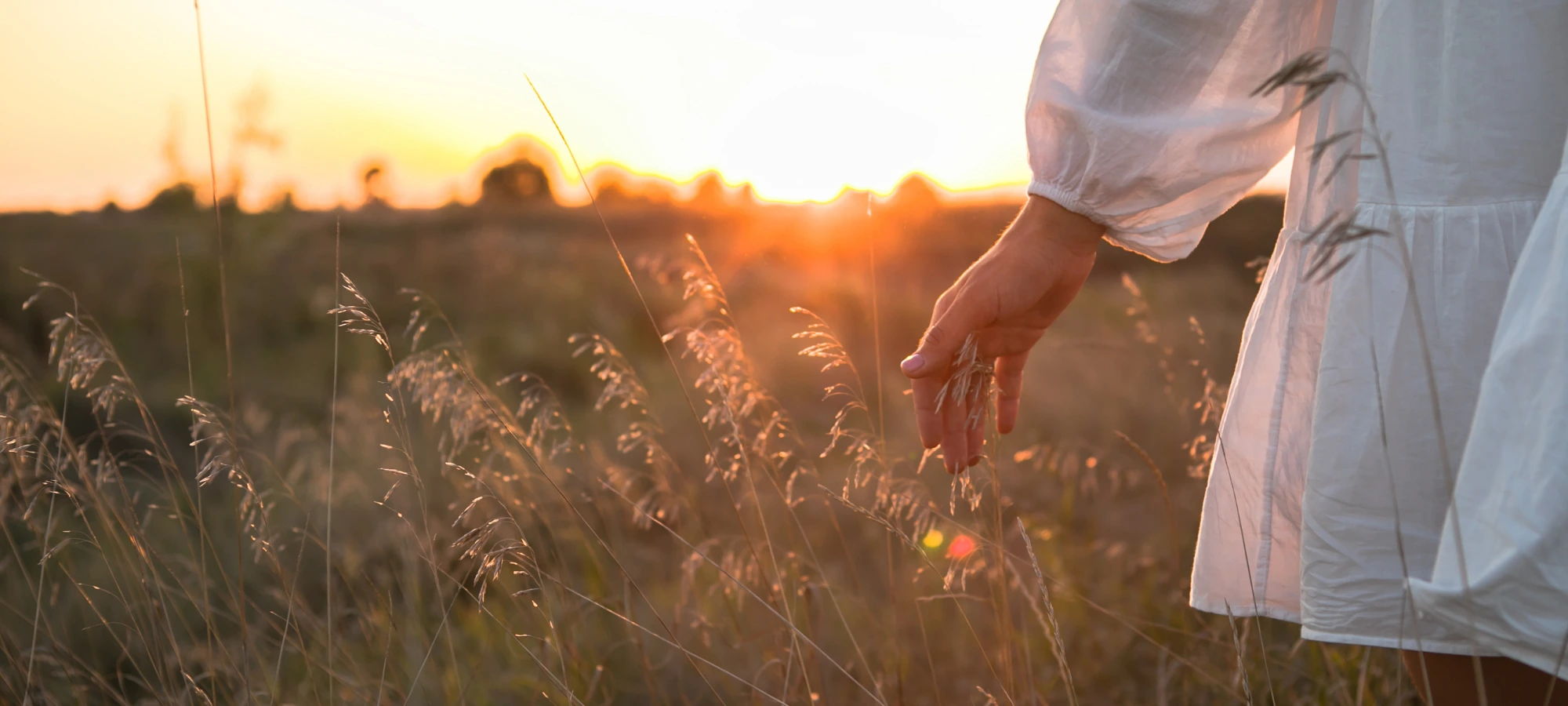 Scents of Nature: how to create an authentic and elegant atmosphere