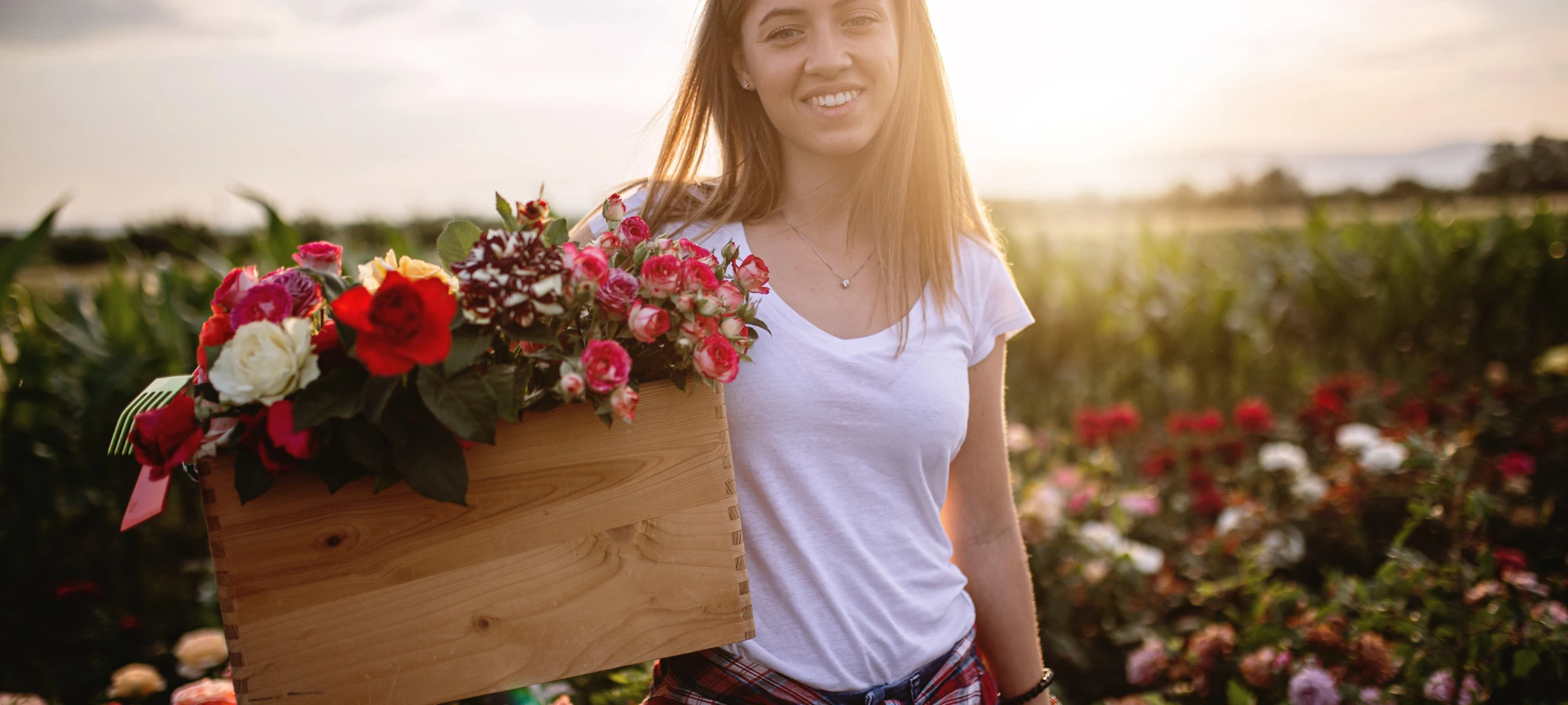 Floral home fragrances: an elegant olfactory signature for professional spaces