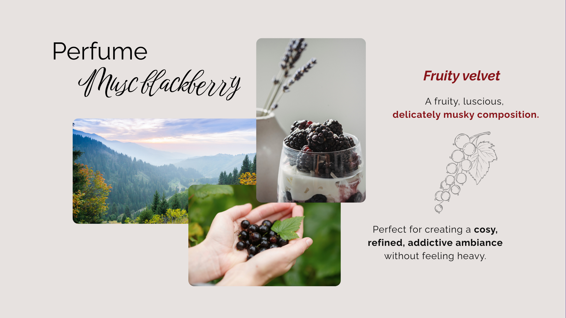 Mure musc-côté gauche EN