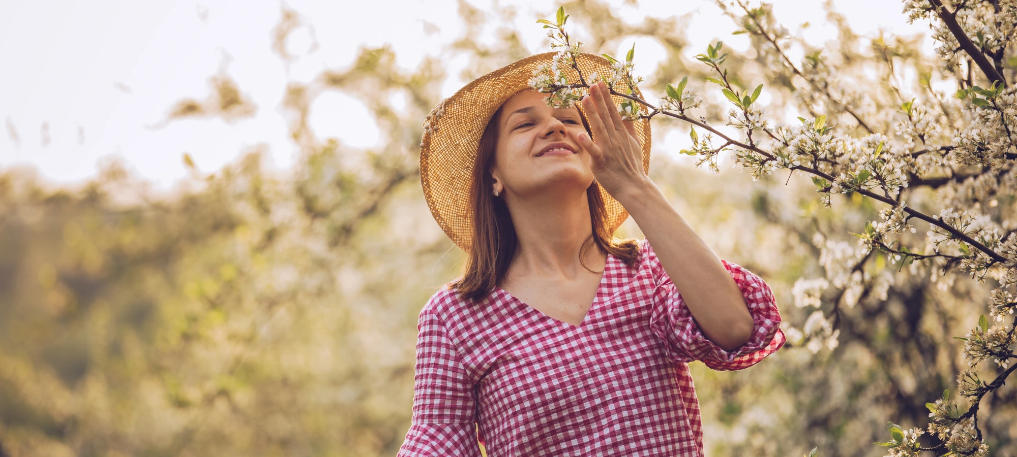 Parfums d’Ambiance 100% Naturels : Exaltez vos Espaces Professionnels avec Authenticité